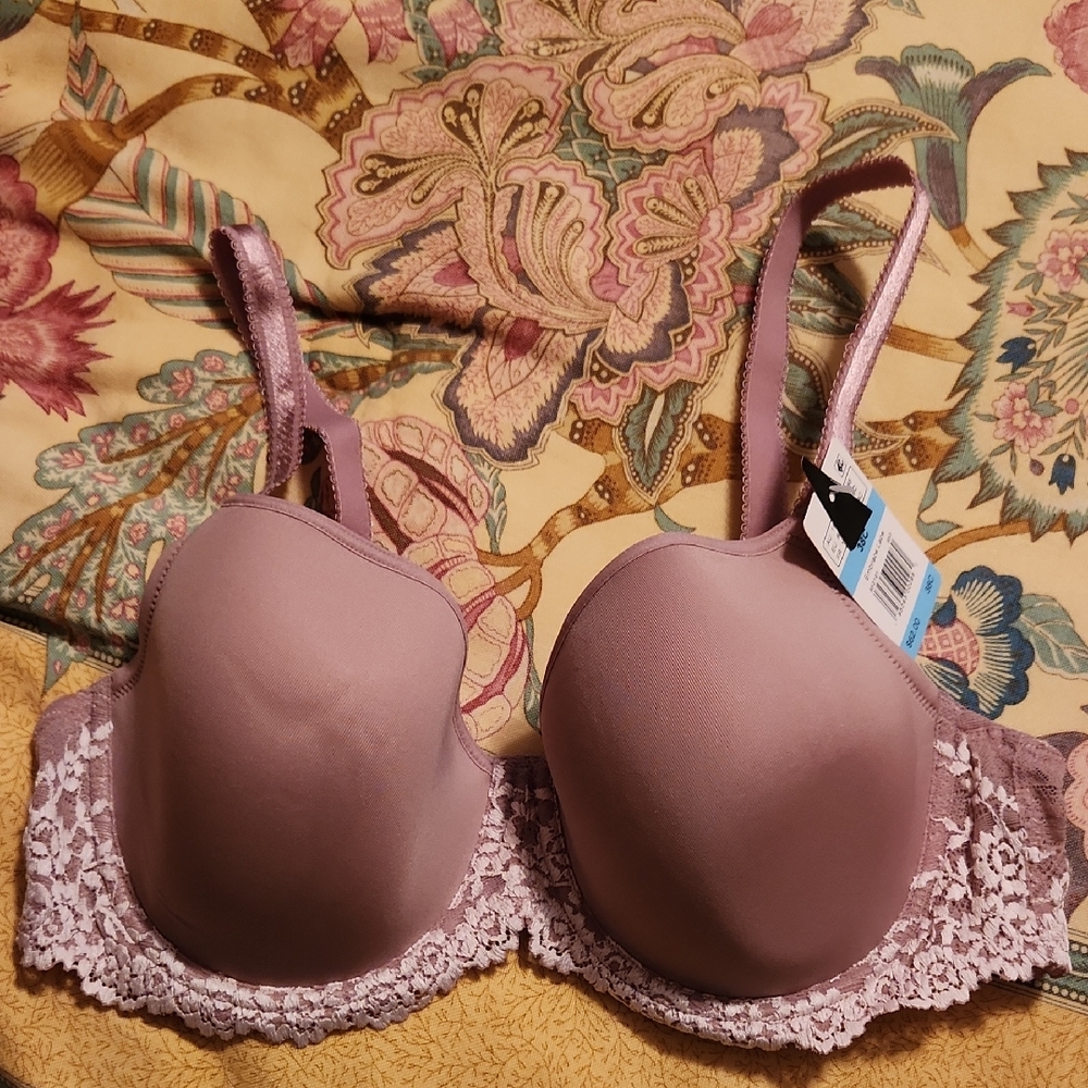 Elegant Lace Trimmed Bra in Mauve